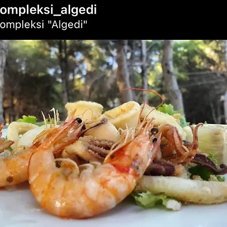 Kompleksi Algedi Apartment *