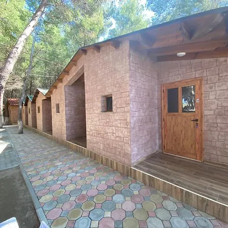 Apartment Kompleksi Algedi
