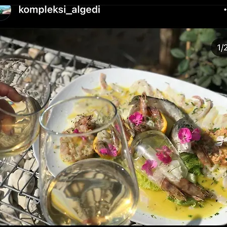 Kompleksi Algedi
